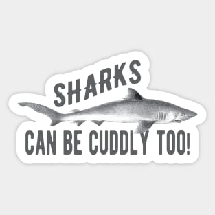 Shark - Sharks can be cuddly too! Sticker